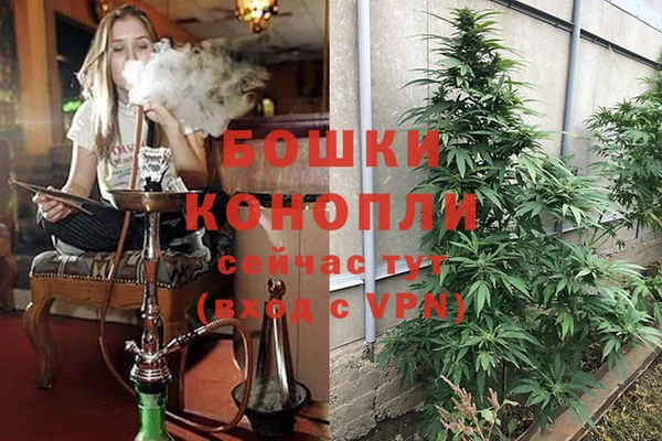 амф Белоозёрский