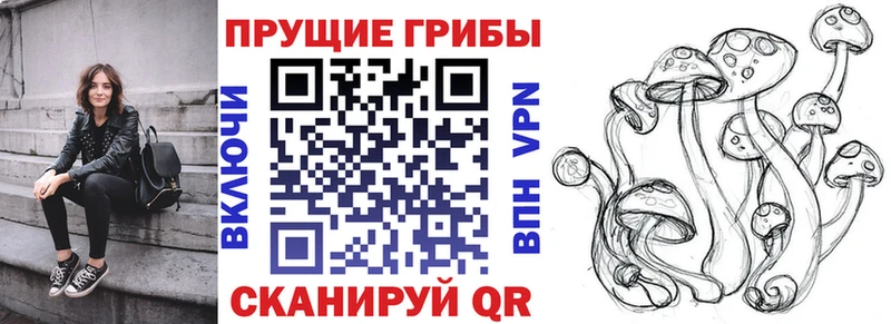 Галлюциногенные грибы ЛСД Плёс